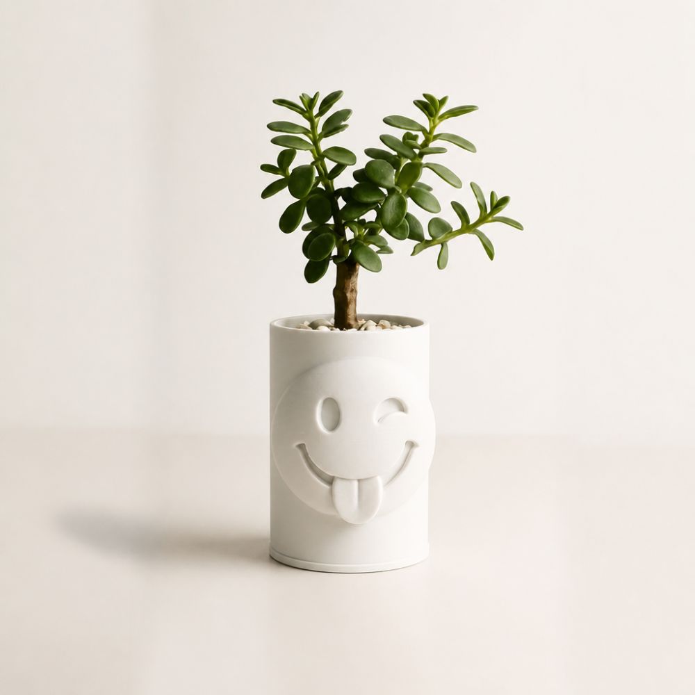 3D Baskı Emoji Planter - Göz Kırpan Yüzlü Sukulent Saksısı-Beyaz