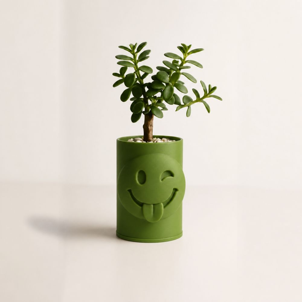 3D Baskı Emoji Planter - Göz Kırpan Yüzlü Sukulent Saksısı-Yeşil