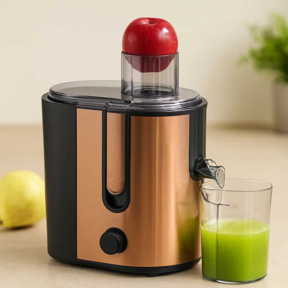 600W Katı Meyve Sıkacağı - 65mm Besleme, Çelik Filtre, 1250ml Posalı Hazne