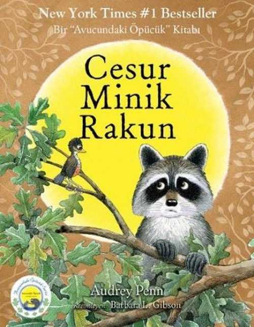 Cesur Minik Rakun - Audrey Penn