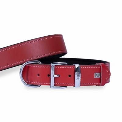 Konfor Deri Köpek Boyun Tasması Kırmızı 4x57 65 Cm