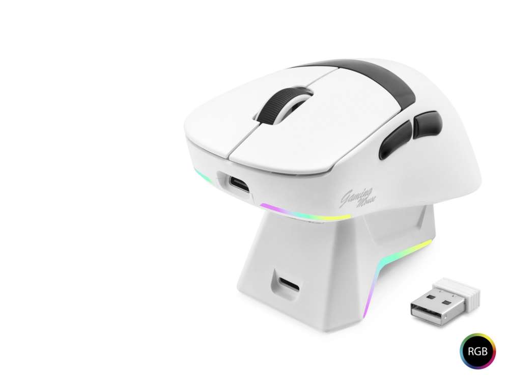 RGB Şarj Standlı Kablosuz Mouse 12000 DPI Beyaz
